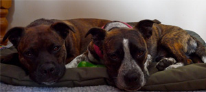 We're so comfortable!